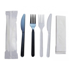 Chinese Supplier Biodegradable Customized CPLA Cutlery Set