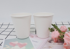 Disposable 9oz Biodegradable Sugarcane Pulp Coffee Cup