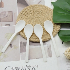 Biodegradable plastic ice cream spoon disposable spoon for ice cream