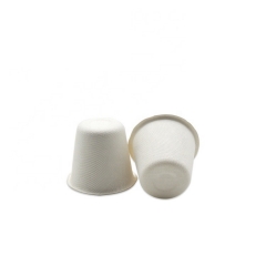 Newest Sugarcane Sauce Cup Disposable Bagasse Cup With PLA Lid