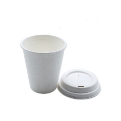 Tazas de café desechables de bagazo de 8 oz reutilizables compostables al por mayor