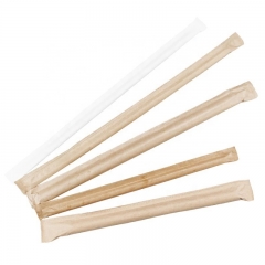 Eco disposable straw biodegradable composting pla straws color for drinking