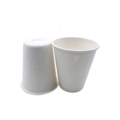 Compostable Bagasse Coffee Cup For Restaurant