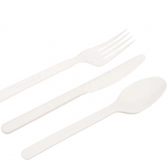 Eco Disposable Compostable PLA 100% Biodegradable Spoon For Dessert