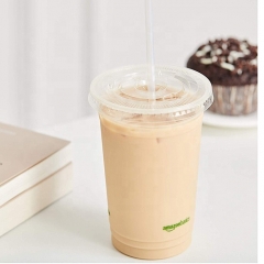 Competitive Price Heat Resist PLA Compostable Straw for Stirrer