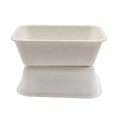 Disposable Biodegradable Food Sugarcane Packing Tray Eco-friendly