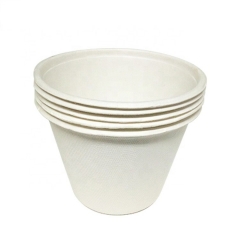 Compostable 500ml disposable sugarcane bagasse pulp coffee disposable cup with lid