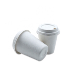 Eco-friendly disposable sugarcane coffe cup with lid for takeaway