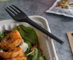 Biodegradable Cutlery Take Away PLA Spoon for Soup