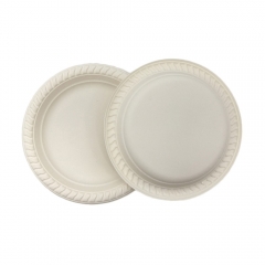water-repellent salad plate biodegradable cornstarch plate for the camping