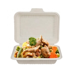 Eco-green Compostable Take Away Lunch 800ML Maicena Clamshell