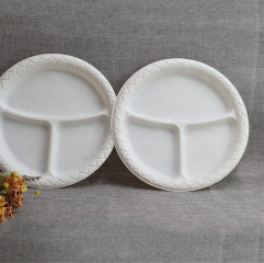 Eco-friendly Biodegradable 10 Inch Disposable Plate Cornstarch for Food