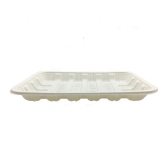 Eco Bioplastic Compostable Take Away Cornstarch Plate for Fruit