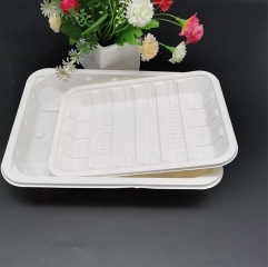 Biodegradable Eco Bioplastic Take Away Disposable Plate Cornstarch for Food