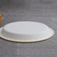 9 Inch Cornstarch Plates Disposable Biodegradable Cornstarch Plate