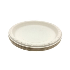 bioleader 100% biodegradable 9 inch corn starch plate for fruit and cake