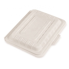 Takeaway Disposable Biodegradable Cornstarch Clamshell Food Container Box
