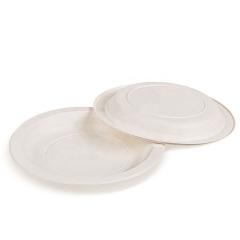 Plat jetable de coupe de nourriture de vaisselle biodégradable faite sur commande de fécule de maïs d'Eco