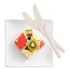 Hot Selling Biodegradable Dinnerware 8 Inch Cornstarch Cutlery for Dessert