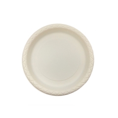 Bioleader Assiette d'amidon de maïs 100% biodégradable de 9 pouces pour fruits et gâteaux