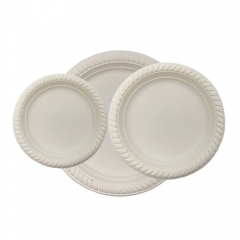 water-repellent salad plate biodegradable cornstarch plate for the camping