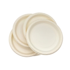 Biodegradable 9 inch corn starch plate for fruit and cake