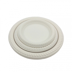 water-repellent salad plate biodegradable cornstarch plate for the camping