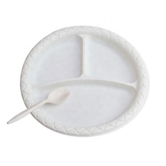 Eco-friendly Biodegradable 10 Inch Disposable Plate Cornstarch for Food