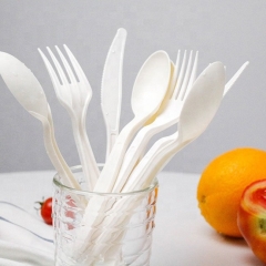 Eco Friendly 6 Inch Biodegradable Cutlery Cornstarch Soup Spoon