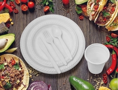 9 inch Round Biodegradable Plastic Cornstarch Disposable Plate