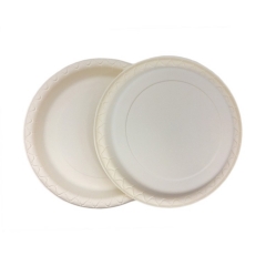 Bioleader Assiette d'amidon de maïs 100% biodégradable de 9 pouces pour fruits et gâteaux