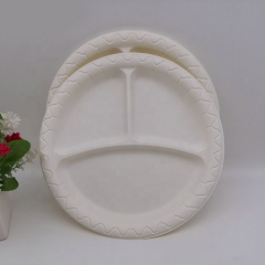 Eco-friendly Biodegradable 10 Inch Disposable Plate Cornstarch for Food