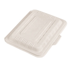 600ml food grade disposable cornstarch food container biodegradable food takeaway box