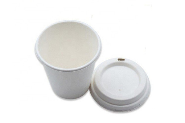 disposable plastic cup with lids