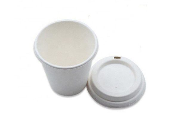 eco friendly disposable coffee cups