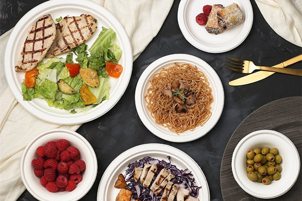 Green Tableware: Wholesale sugarcane plate