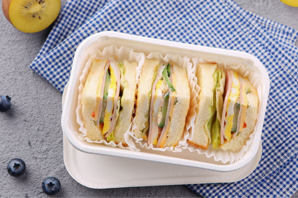 Wholesale sugarcane tableware to save the environment