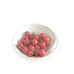 Wholesale Price Disposable Hot Soup Biodegradable Bagasse Sugarcane Bowl Clear Lid