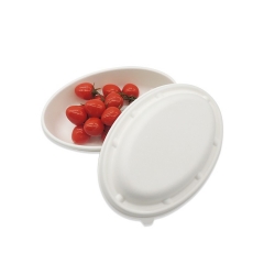 soup bowl Amazon 500 Pack bagasse takeaway disposable bowls with lid