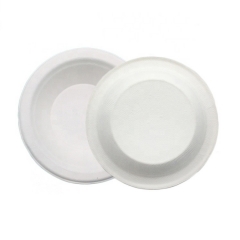 Sugarcane Compostable Disposable Biodegradable Bowls For Party