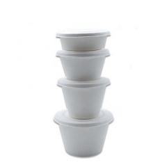 High Quality Eco Bagasse Biodegradable Bowl With Sugarcane Lids