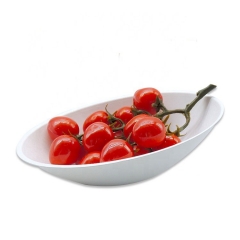 Eco-friendly Egg Shape Bagasse Pulp Biodegradable Salad Bowl