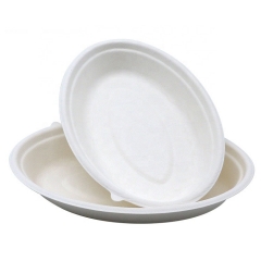Cuenco oval abonable del bagazo biodegradable del cuenco de la caña de azúcar para la ensalada