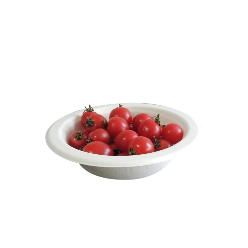 Disposable New Style Eco-friendly Takeaway Biodegradable Salad bowl White