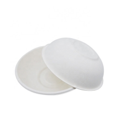 Disposable Bagasse Biodegradable Salad Bowl