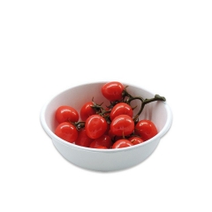 800 ml stock available high quality food sugarcane bowl dinnerware