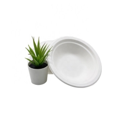 Cuenco de ensalada disponible biodegradable amistoso diseñado de la caña de azúcar 16oz de Eco