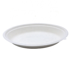 Eco Friendly Bodegradable Compostable Bagasse Takeaway Noodle Bowls