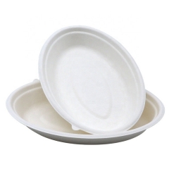 Cuenco oval abonable biodegradable del bagazo de la caña de azúcar del cuenco para los tallarines