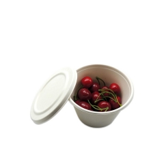 500ml Biodegradable Sugarcane Disposable Bagasse Bowl with lid